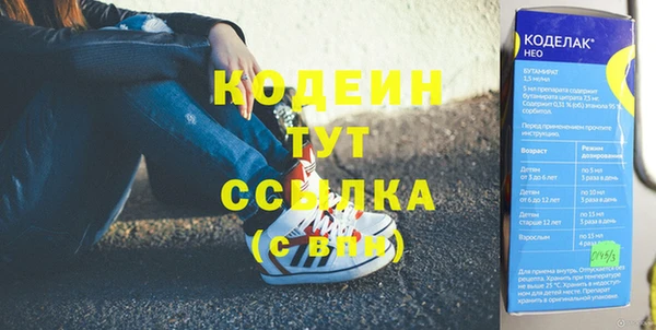 стаф Аркадак