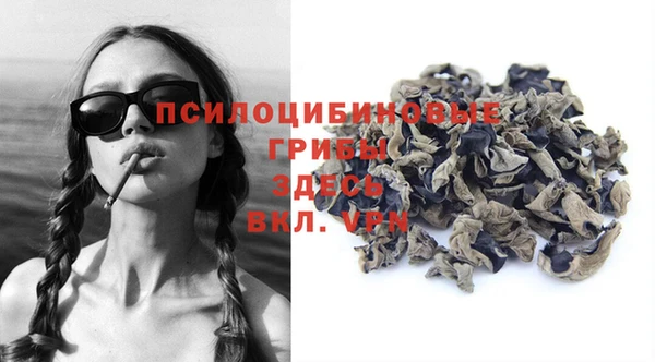 трава Надым